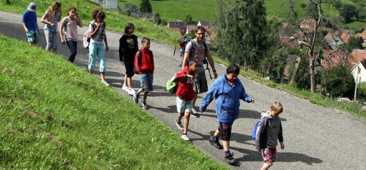 Colonie dans le Vaucluse : où aller ?